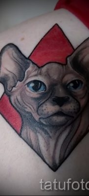 Стильный вариант татуировки сфинкс – можно использовать для тату на плече цветная кошки сфинксы