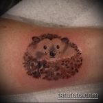 Зачетный вариант нанесенной татуировки ежик – рисунок подойдет для тату ежик на руке
