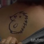 Оригинальный пример существующей татуировки ежик – рисунок подойдет для тату ежик с одуванчиком