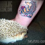 Классный вариант выполненной татуировки ежик – рисунок подойдет для тату ежика соника
