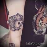 Интересный вариант выполненной татуировки ежик – рисунок подойдет для тату ежик на животе