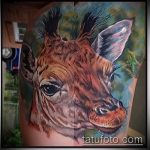 Уникальный пример существующей тату жираф – рисунок подойдет для тату жираф на акуле