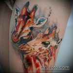 Уникальный пример готовой татуировки жираф – рисунок подойдет для тату жираф маленькийтату жираф моноцвет