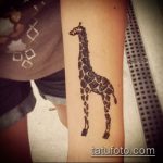 Прикольный пример нанесенной татуировки жираф – рисунок подойдет для тату жираф на акуле