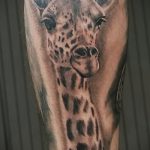 Оригинальный пример нанесенной татуировки жираф – рисунок подойдет для тату жираф в очках