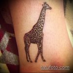 Крутой вариант выполненной татуировки жираф – рисунок подойдет для тату жираф акварель