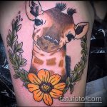 Крутой вариант выполненной татуировки жираф – рисунок подойдет для тату жираф на спине