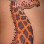Зачетный вариант выполненной наколки жираф – рисунок подойдет для тату жираф на акуле