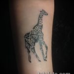 Прикольный пример существующей тату жираф – рисунок подойдет для тату жираф на предплечье