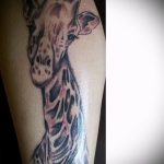 Оригинальный вариант готовой тату жираф – рисунок подойдет для тату жираф геометрия