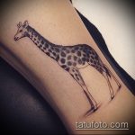 Интересный пример готовой татуировки жираф – рисунок подойдет для тату жираф на ноге