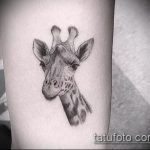 Оригинальный пример существующей тату жираф – рисунок подойдет для тату жираф ёжик жираф
