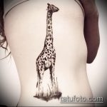 Уникальный пример существующей татуировки жираф – рисунок подойдет для тату жирафа на спине
