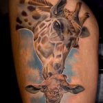 Прикольный пример готовой наколки жираф – рисунок подойдет для тату жираф на ноге