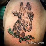 Зачетный вариант нанесенной тату жираф – рисунок подойдет для тату жираф на акуле