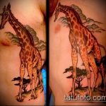 Уникальный пример готовой тату жираф – рисунок подойдет для тату жирафа на спине