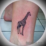 Интересный пример выполненной татуировки жираф – рисунок подойдет для тату жирафа на спине