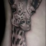 Уникальный пример готовой тату жираф – рисунок подойдет для тату жираф на рукетату жираф на пальце