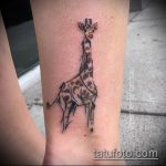 Классный пример нанесенной тату жираф – рисунок подойдет для тату жираф на предплечье