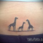 Прикольный вариант выполненной наколки жираф – рисунок подойдет для тату жираф на предплечье