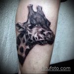 Классный вариант нанесенной тату жираф – рисунок подойдет для тату жираф ёжик жираф