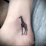 Оригинальный пример существующей тату жираф – рисунок подойдет для тату жираф на акуле