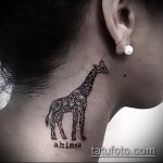 Уникальный вариант существующей татуировки жираф – рисунок подойдет для тату жирафа на спине
