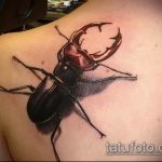 Фото реалистичной татуировки жука на плече. Детализированный рисунок с проработкой текстуры хитина и теней. Черно-коричневая цветовая гамма.