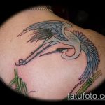 Крутой вариант готовой татуировки журавль – рисунок подойдет для тату журавль и сакура