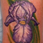 Интересный пример нанесенной татуировки ирис – рисунок подойдет для тату ирис на пояснице