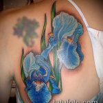 Интересный вариант нанесенной татуировки ирис – рисунок подойдет для тату цветка ирис