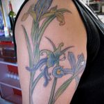 Интересный вариант готовой тату ирис – рисунок подойдет для тату ирис на плече