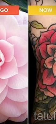 Достойный вариант татутатуировки камелия на фото для статьи про историю рисунка цветка камелии в тату