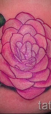 Достойный вариант татутатуировки камелия на фото для заметки про историю рисунка цветка камелии в тату