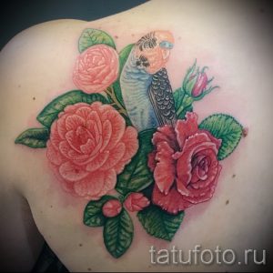 Фото яркой татуировки с изображением роз разных оттенков и попугая на лопатке. Реалистичный стиль, насыщенные цвета и детализированная проработка.