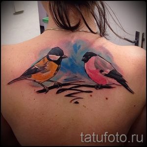Фото тату двух акварельных птиц на спине. Яркие цвета, легкие мазки, создающие эффект полета и свободы. Нежный и романтичный дизайн.