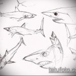 Черно-белый эскиз татуировок с изображением нескольких акул в разных позах и ракурсах. Рисунок выполнен карандашом.