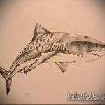 Черно-белый эскиз татуировки акулы, выполненный карандашом. Детализированный рисунок демонстрирует реалистичное изображение рыбы.