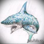 Оригинальный пример эскиза татуировки АКУЛА – рисунок подойдет для тату акула молот