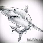 Зачетный пример эскиза наколки АКУЛА – рисунок подойдет для тату акула шее