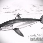 Зачетный пример эскиза татуировки АКУЛА – рисунок подойдет для тату акула на руке