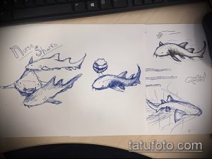 Классный вариант эскиза татуировки АКУЛА – рисунок подойдет для тату акула молот