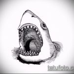 Прикольный пример эскиза татуировки АКУЛА – рисунок подойдет для тату акула спине