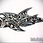 Зачетный вариант эскиза татуировки АКУЛА – рисунок подойдет для тату акула молот