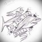 Интересный пример эскиза татуировки АКУЛА – рисунок подойдет для тату акула олд скул