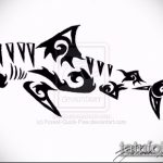 Классный вариант эскиза наколки АКУЛА – рисунок подойдет для трайбл тату акулы