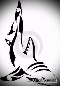 Черно-белый эскиз татуировки акулы в стиле трайбл, с плавными линиями, геометрическими узорами и акцентом на силуэт. Подходит для любителей этнических мотивов.
