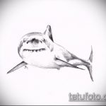Крутой вариант эскиза наколки АКУЛА – рисунок подойдет для пасть акулы тату