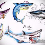 Уникальный вариант эскиза наколки АКУЛА – рисунок подойдет для трайбл тату акулы