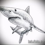 Крутой пример эскиза тату АКУЛА – рисунок подойдет для тату акула на руке